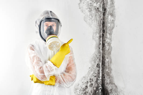 Mold Remediation for Rental Properties in Smithfield, VA