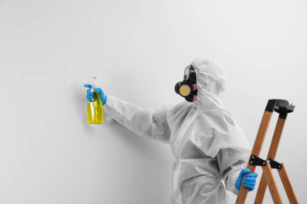 Best Mold Prevention Services  in Smithfield, VA